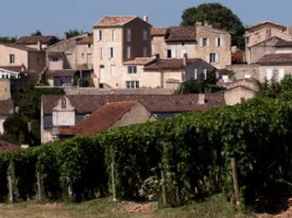Private Full-Day Wine Tasting Tour in St Emilion